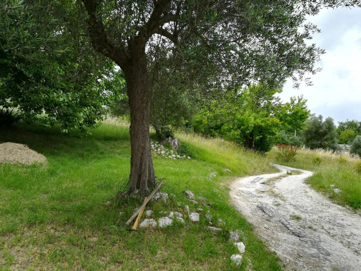 Agriturismo Campo Aperto Belvedere Ostrense Exterior foto